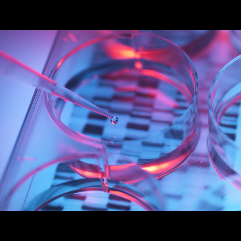 100bp Optisize:DNA Marker,500 μl/100 loads