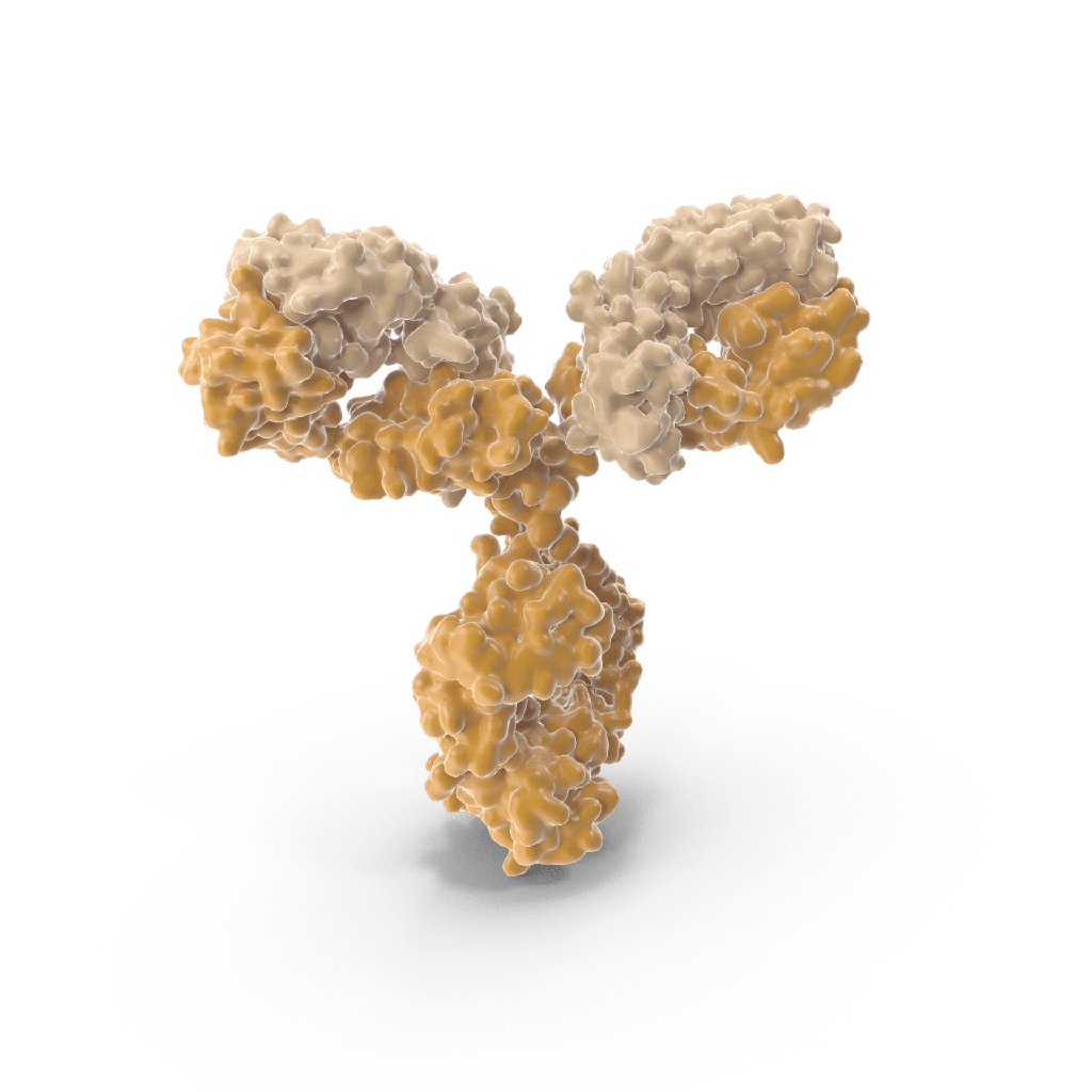 1x Anti-C-Myc Antibody Chicken - FITC Conjugated
