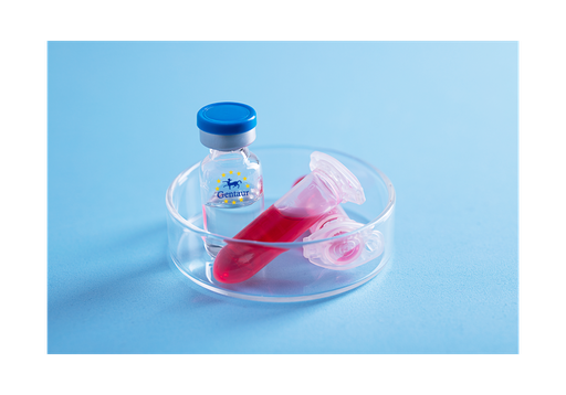 [GEN - PYT252-1mg] TNF a Mouse
